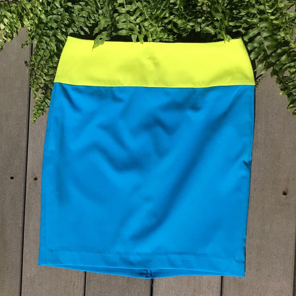 Color Block Mini Skirt